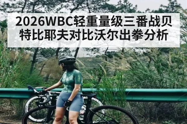 2026WBC轻重量级三番战贝特比耶夫对比沃尔出拳分析
